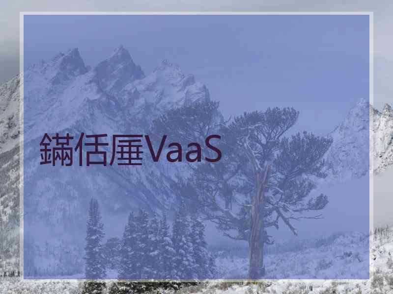 鏋佸厜VaaS