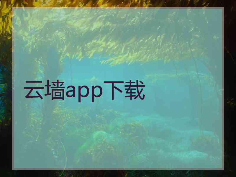 云墙app下载