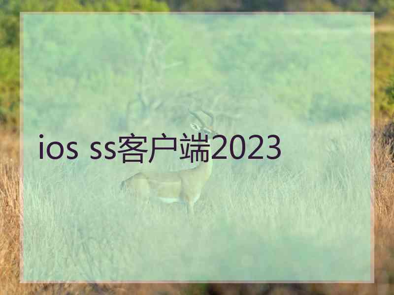 ios ss客户端2023