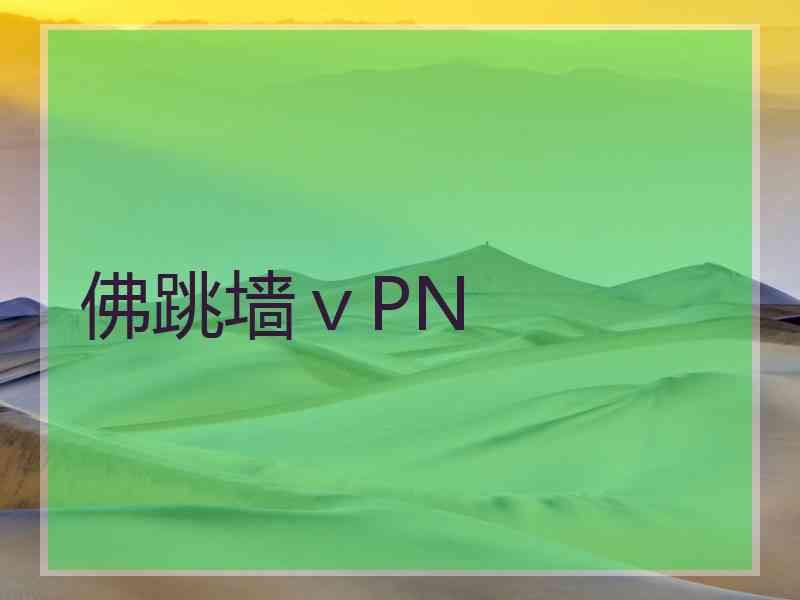 佛跳墙ⅴPN