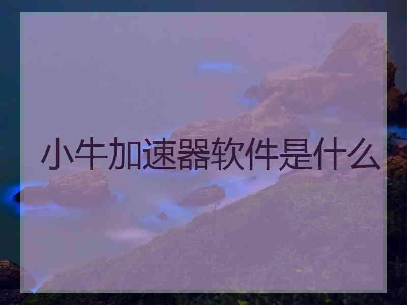 小牛加速器软件是什么