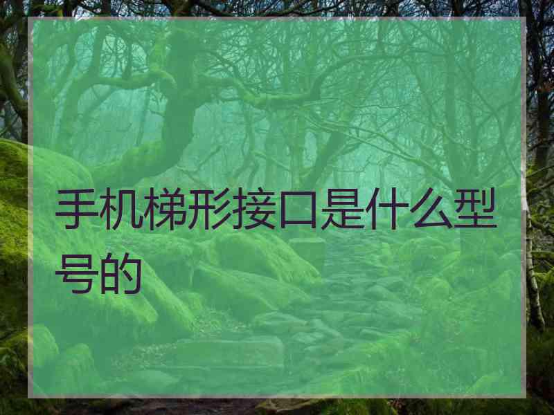 手机梯形接口是什么型号的