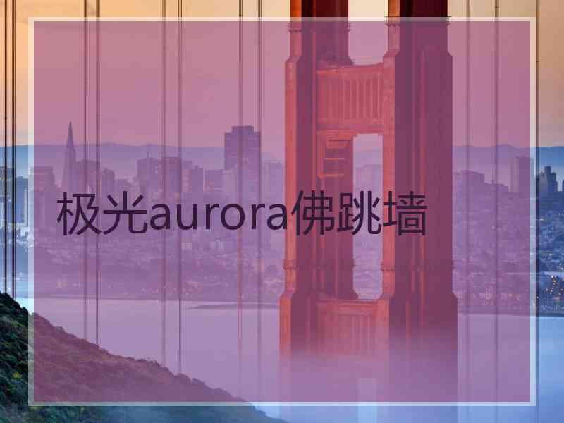 极光aurora佛跳墙