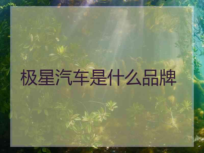 极星汽车是什么品牌