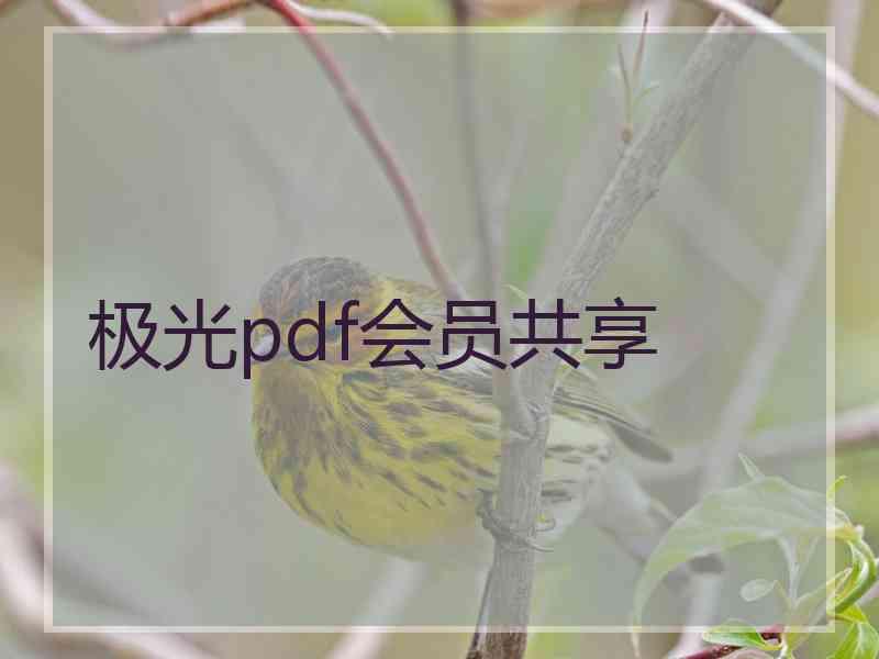 极光pdf会员共享