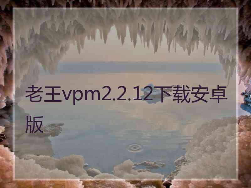 老王vpm2.2.12下载安卓版