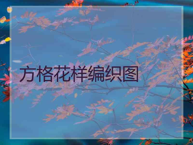 方格花样编织图