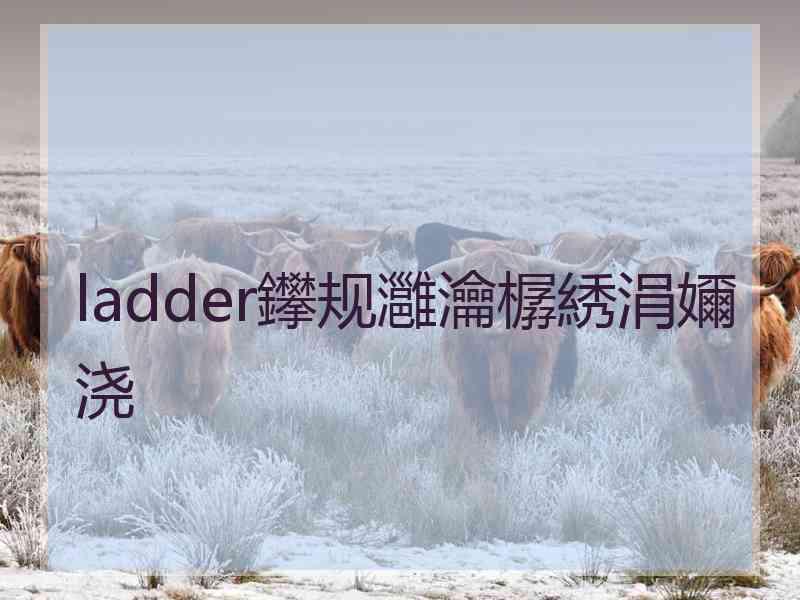 ladder鑻规灉瀹樼綉涓嬭浇