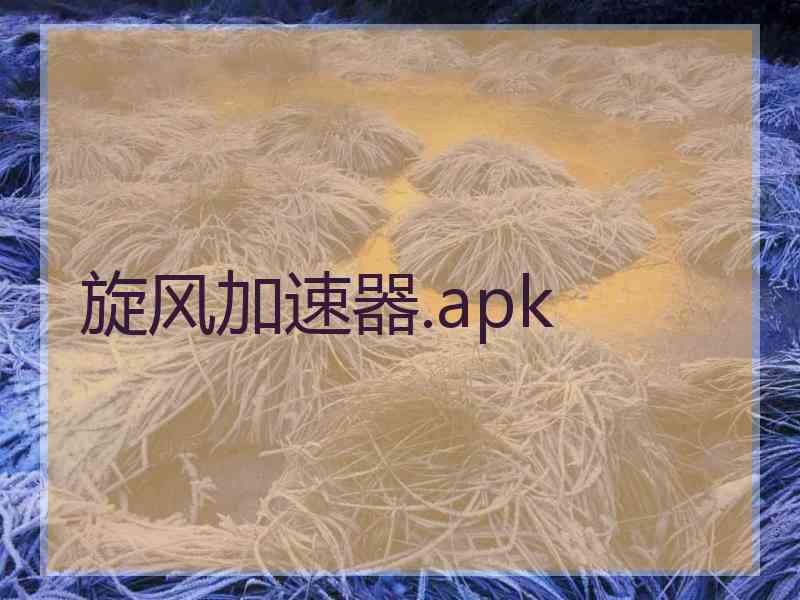 旋风加速器.apk