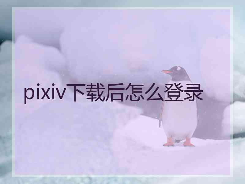 pixiv下载后怎么登录