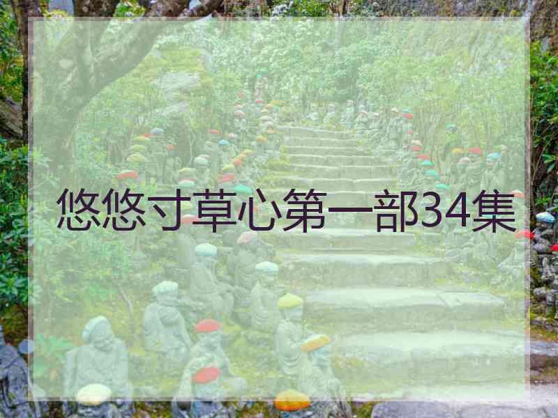 悠悠寸草心第一部34集