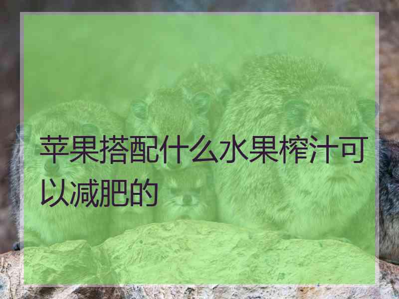 苹果搭配什么水果榨汁可以减肥的