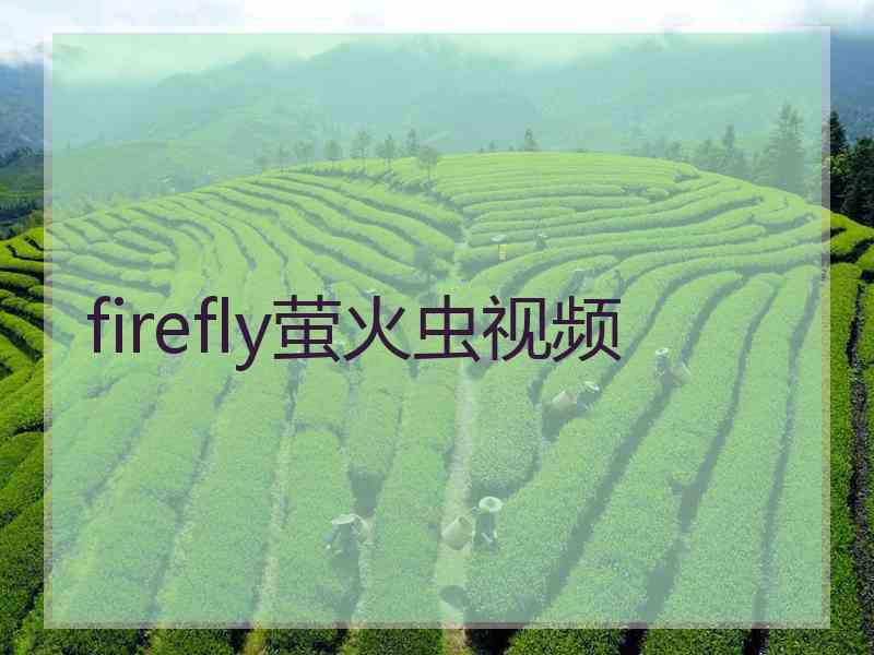 firefly萤火虫视频