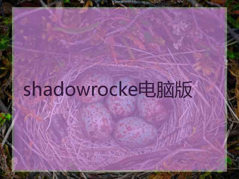 shadowrocke电脑版