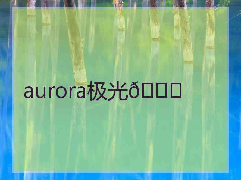 aurora极光🌙