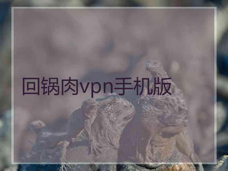 回锅肉vpn手机版