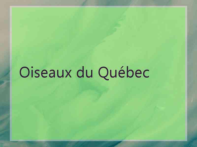 Oiseaux du Québec