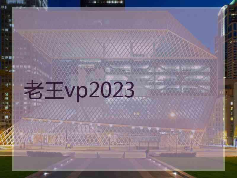 老王vp2023