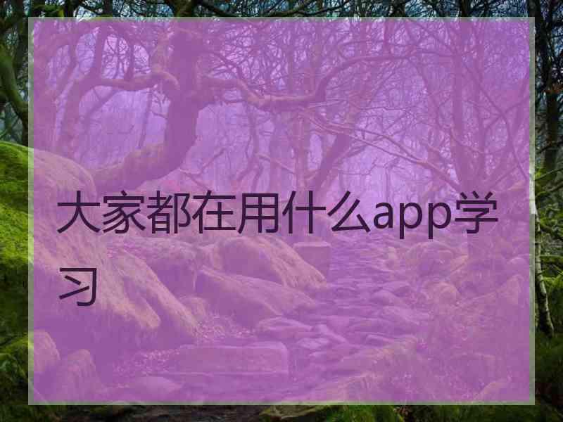 大家都在用什么app学习