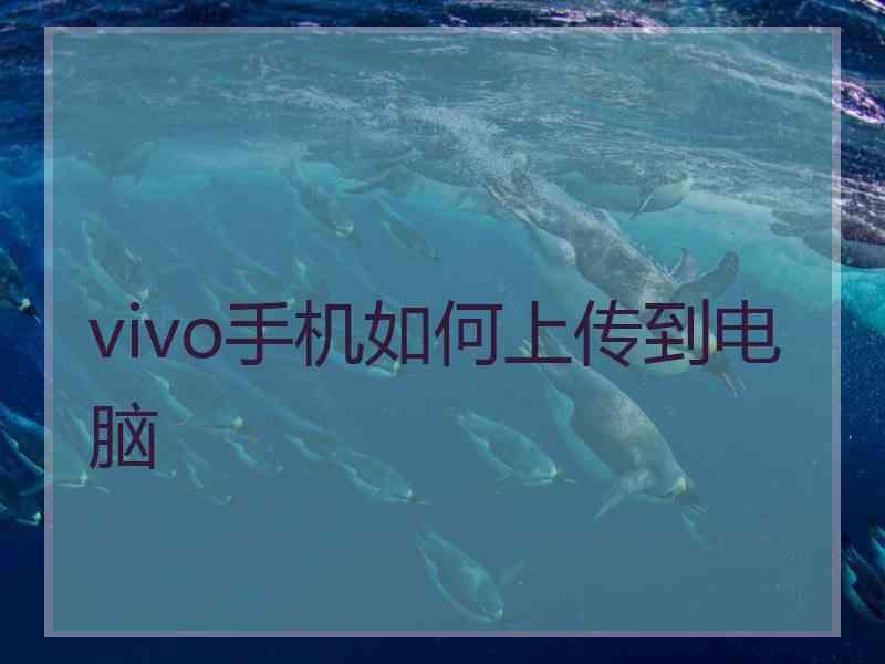 vivo手机如何上传到电脑