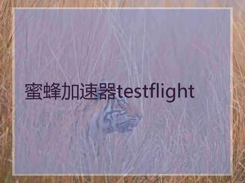 蜜蜂加速器testflight