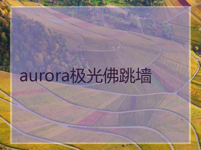 aurora极光佛跳墙