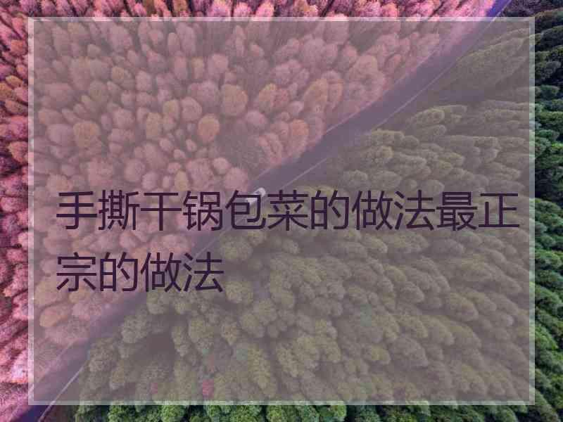 手撕干锅包菜的做法最正宗的做法