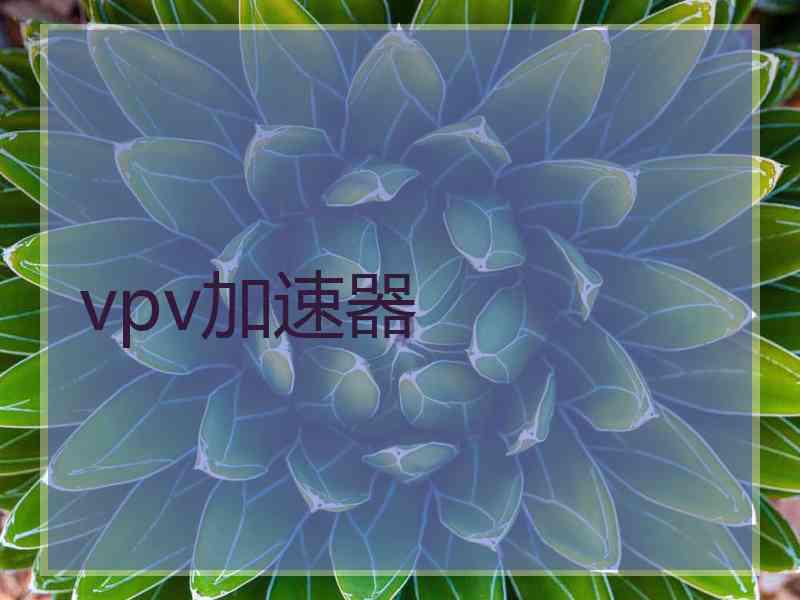 vpv加速器