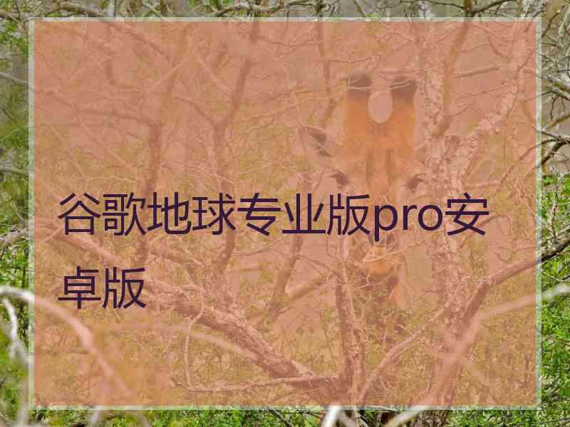 谷歌地球专业版pro安卓版