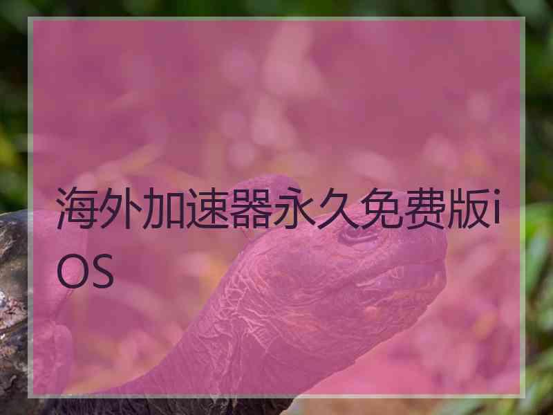 海外加速器永久免费版iOS