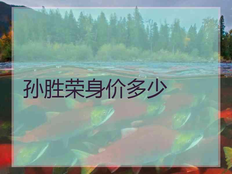 孙胜荣身价多少