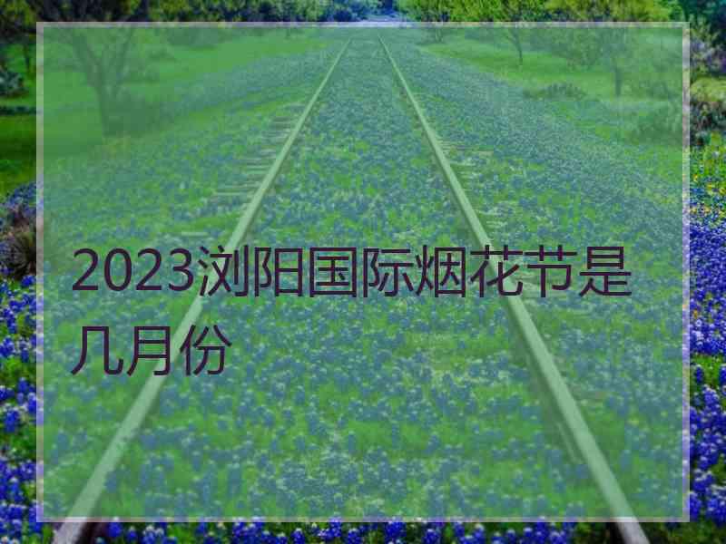 2023浏阳国际烟花节是几月份