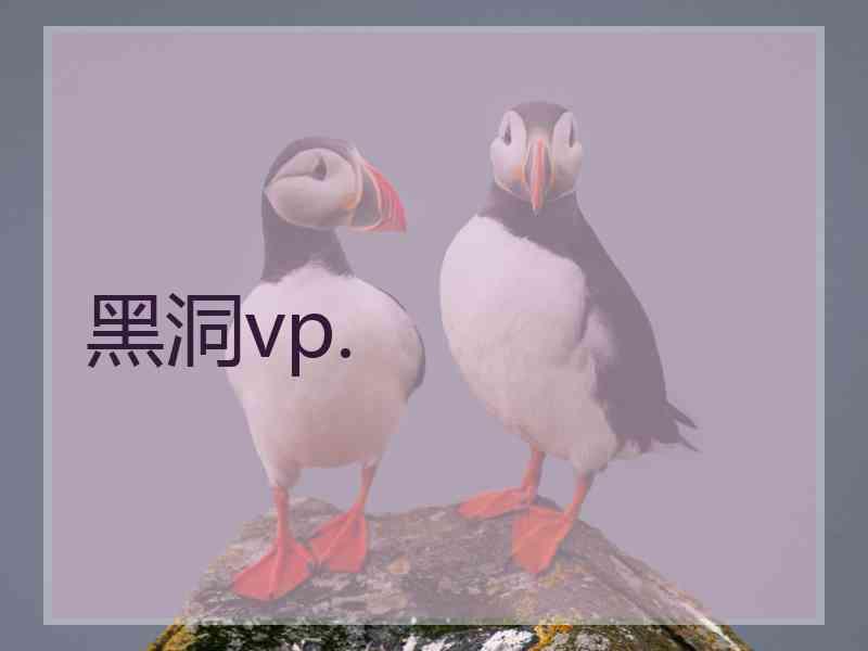 黑洞vp.