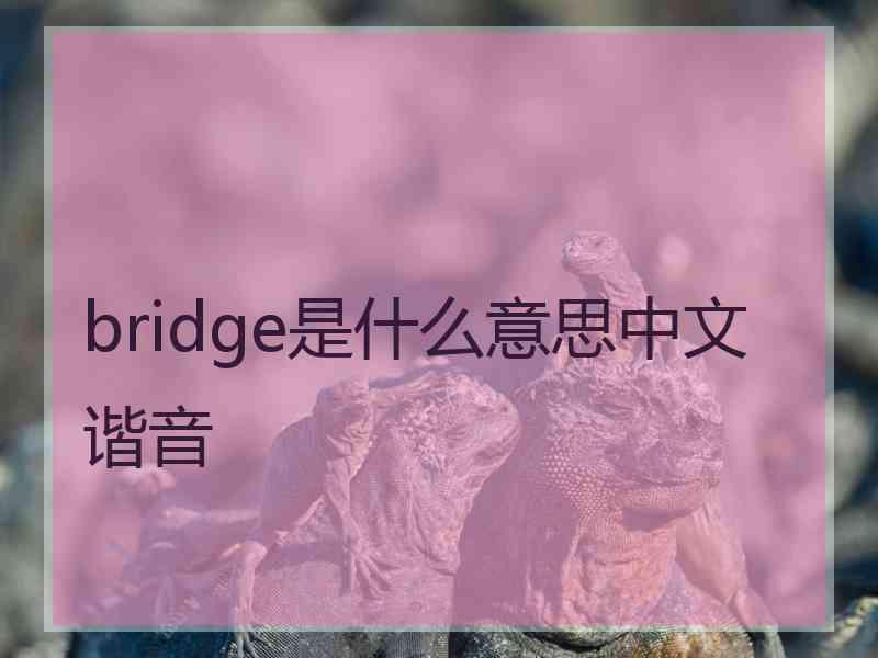 bridge是什么意思中文谐音