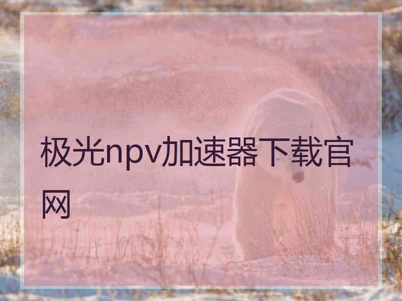 极光npv加速器下载官网