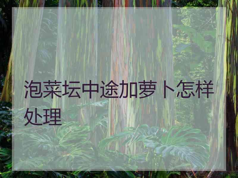 泡菜坛中途加萝卜怎样处理