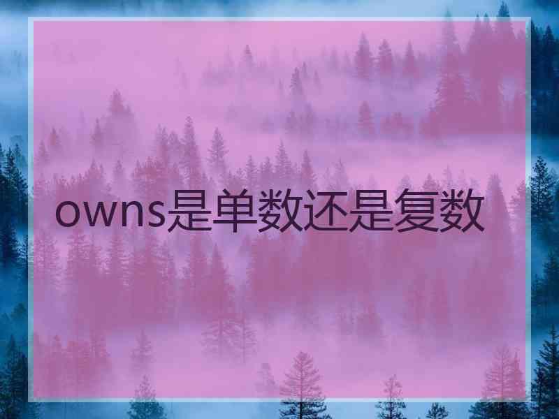 owns是单数还是复数