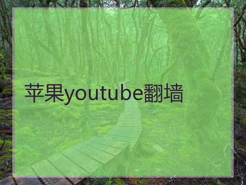 苹果youtube翻墙