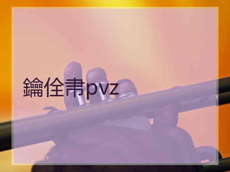 鑰佺帇pvz