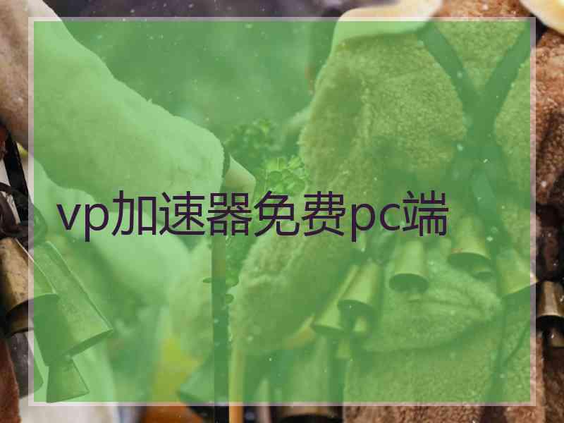 vp加速器免费pc端