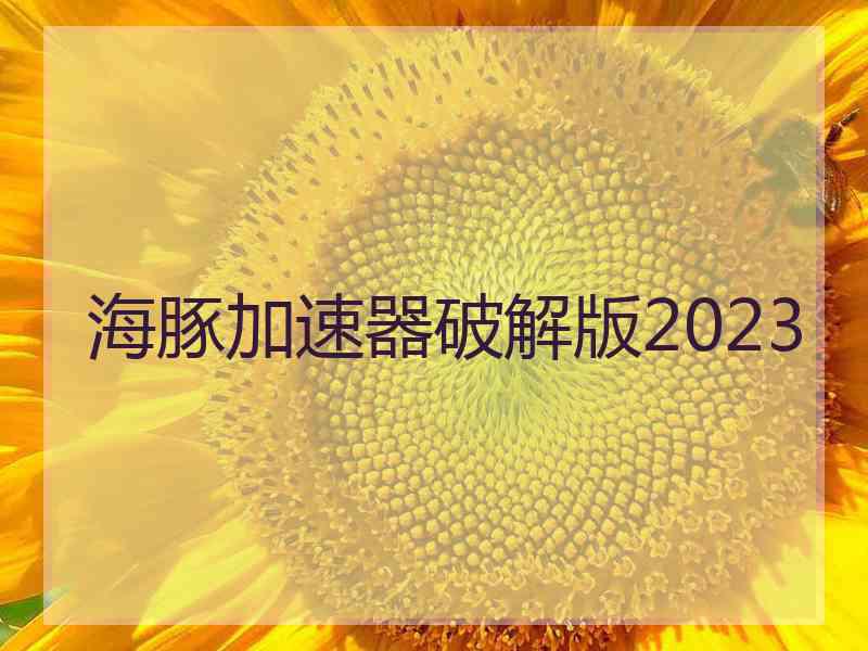 海豚加速器破解版2023