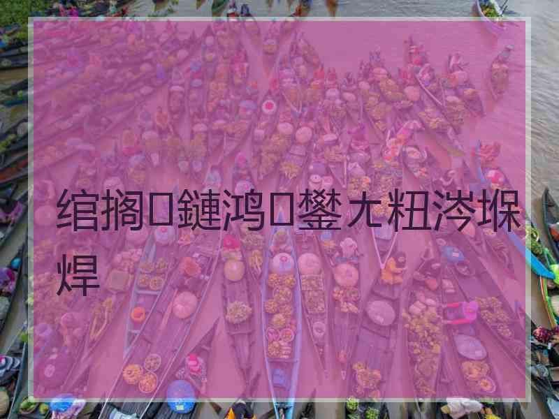 绾搁鏈鸿鐢ㄤ粈涔堢焊