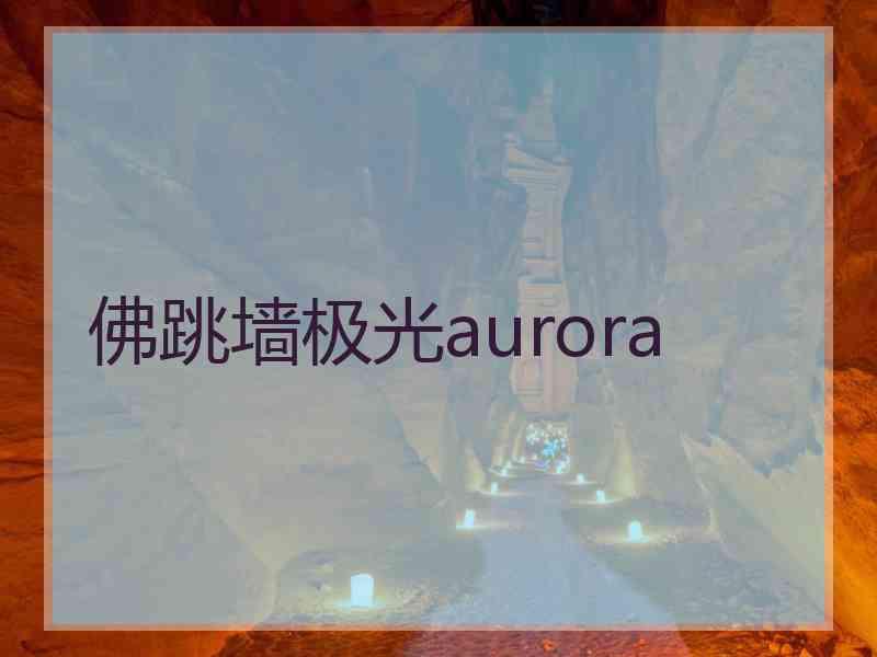 佛跳墙极光aurora