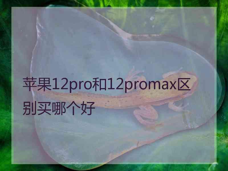 苹果12pro和12promax区别买哪个好