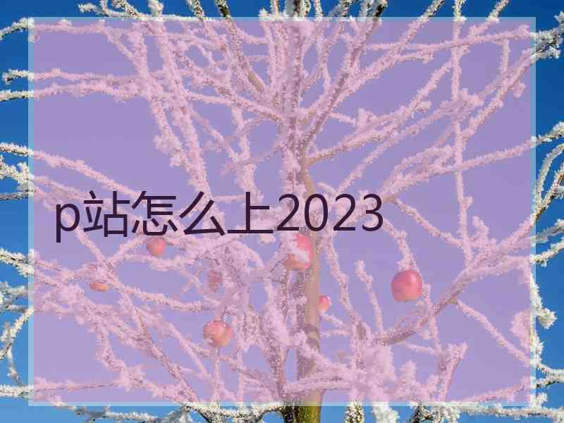 p站怎么上2023