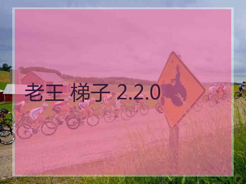 老王 梯子 2.2.0