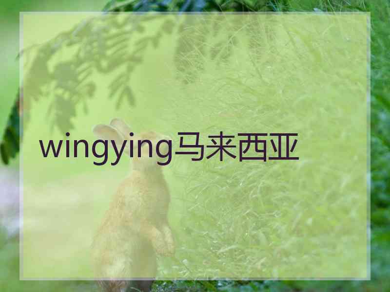 wingying马来西亚