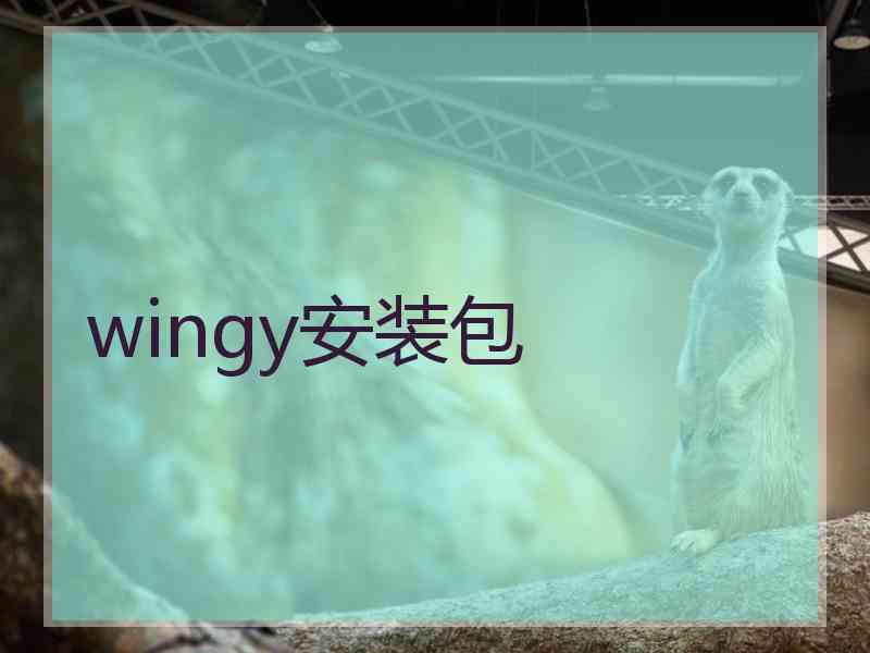 wingy安装包