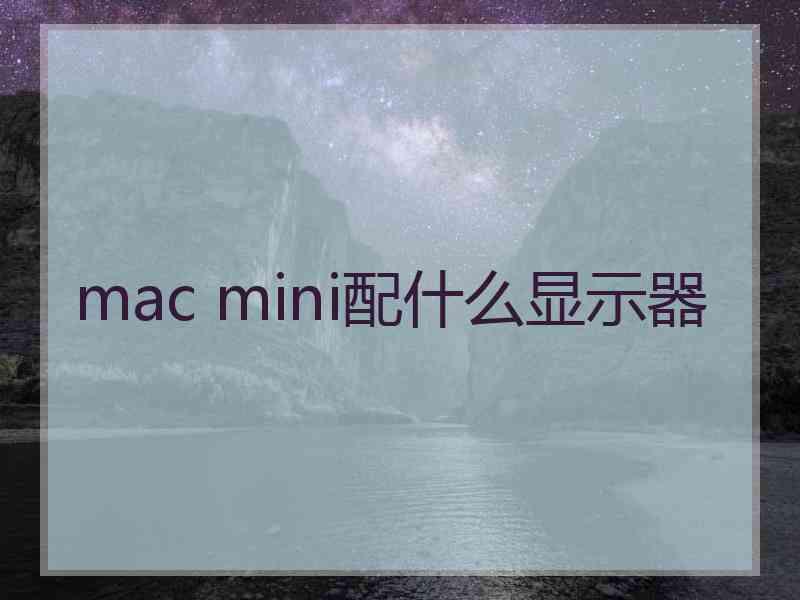 mac mini配什么显示器