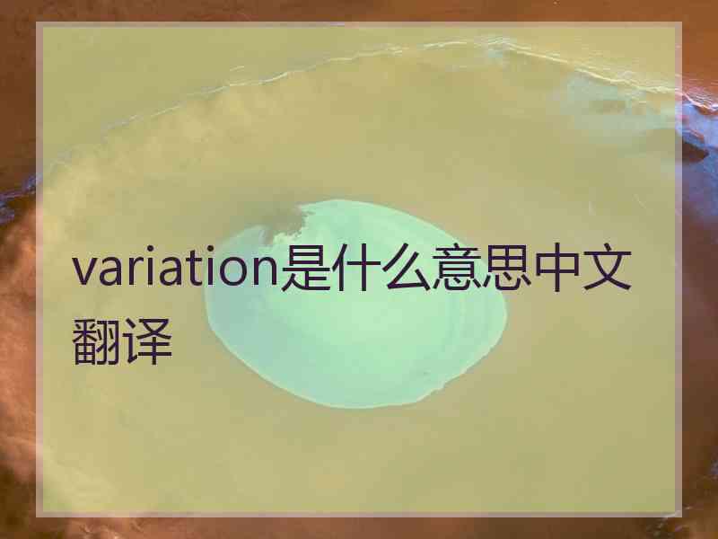 variation是什么意思中文翻译